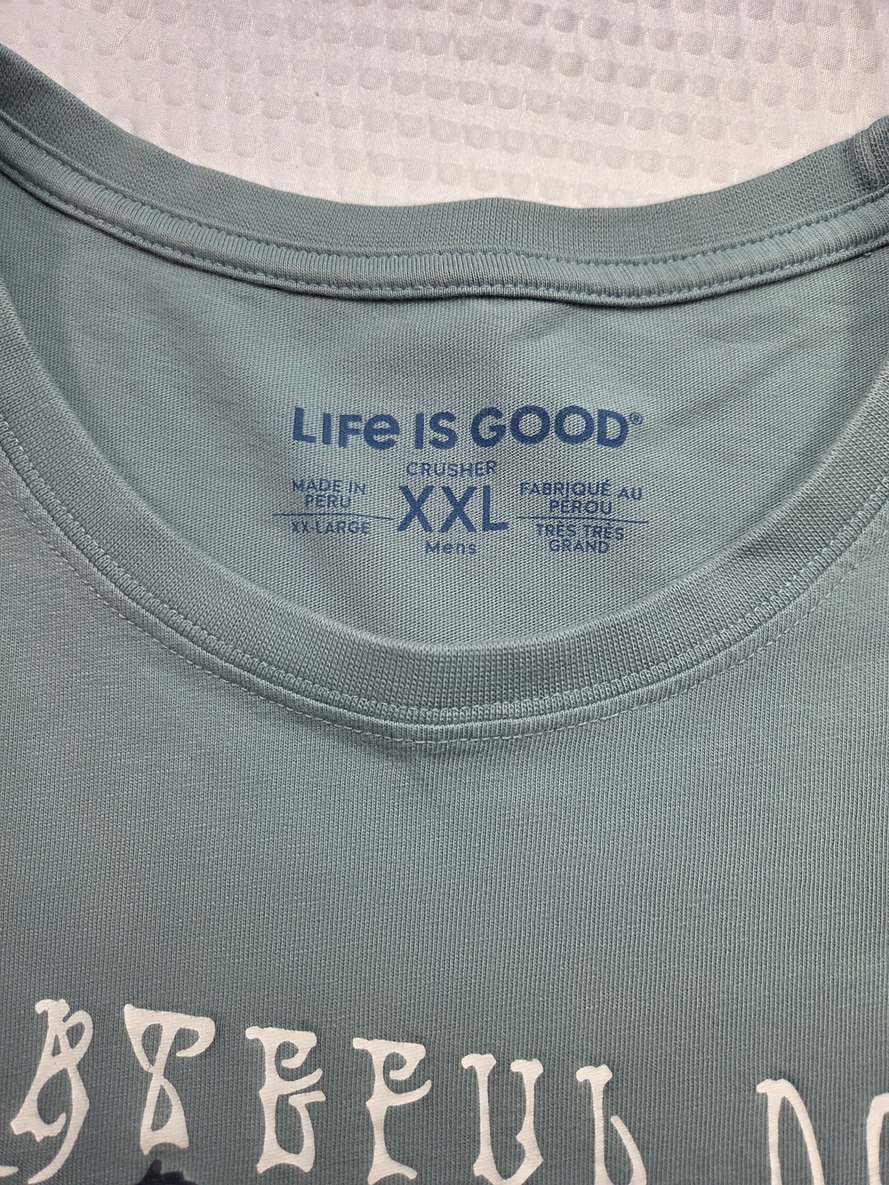 Life Is Good Seafoam Green Grateful Dog Graphic Tee - Picture 2 of 5
